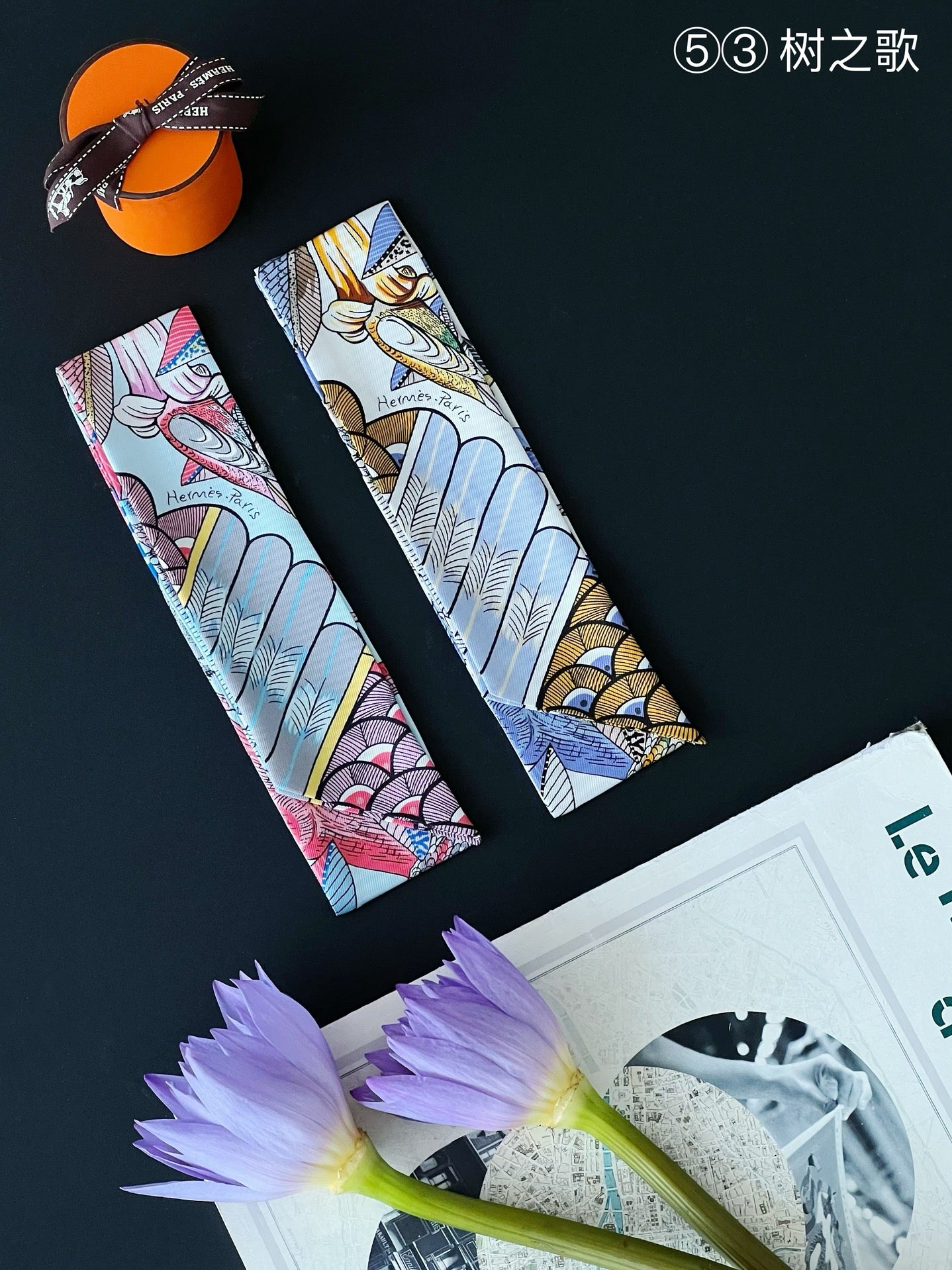 Hermes Twilly Silk scarf a lot of colours and styles to choose from