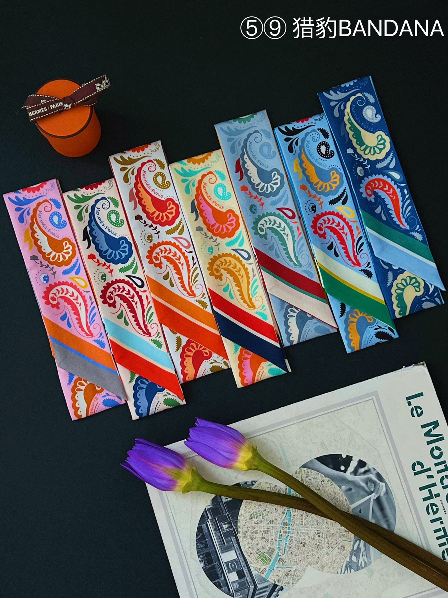 Hermes Twilly Silk scarf a lot of colours and styles to choose from