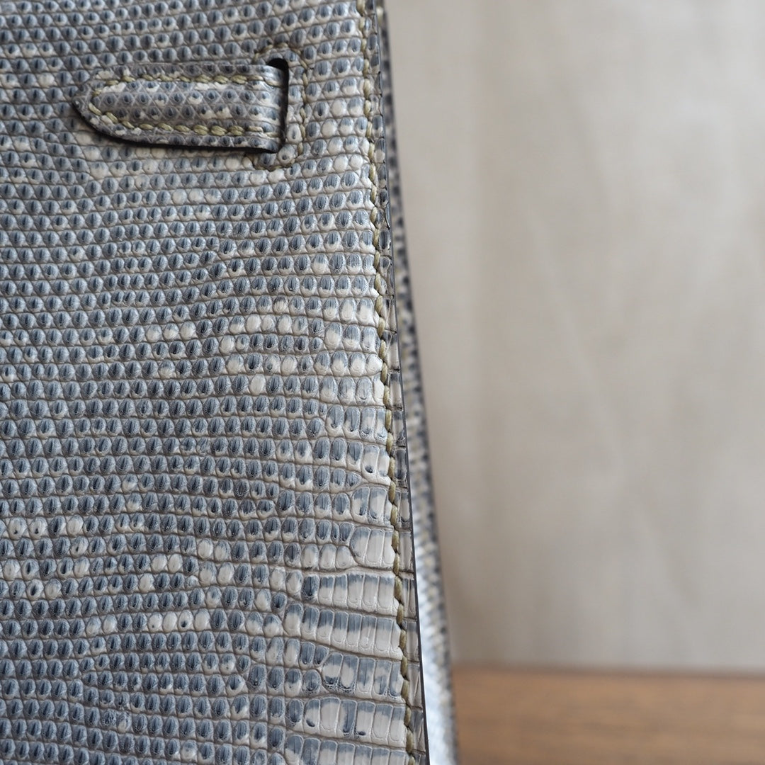 Hermes Kelly 25cm 1B/原色蜥蜴/Ombre Lizard leather Palladium hardware